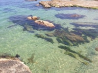 크리스탈같은 바다 - 뽐뿌:자유갤러리 크리스탈같은 바다