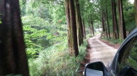 금산 심천레조트 드림빌캠핑장 - 뽐뿌:캠핑포럼 금산 심천레조트 드림빌캠핑장