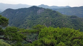 천성산 산행- 공룡능선 성불암계곡 - 뽐뿌:등산포럼 천성산 산행- 공룡능선 성불암계곡
