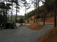 영흥도 블랙트리 캠핑장 간략 후기~~ - 뽐뿌:캠핑포럼 영흥도 블랙트리 캠핑장 간략 후기~~