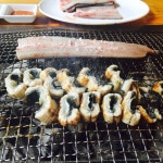 장어! - 뽐뿌:자유갤러리 장어!