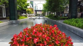 송도 NC큐브 - 뽐뿌:모바일갤러리 송도 NC큐브