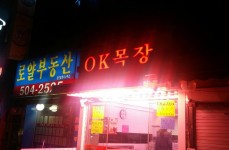 OK목장의 매장이 문을 열었습니다? - 뽐뿌:등산포럼 OK목장의 매장이 문을 열었습니다?