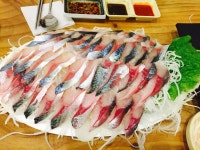 제주도 고등어회 - 뽐뿌:자유갤러리 제주도 고등어회