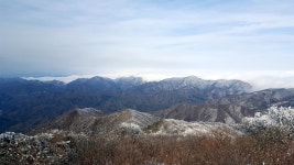 ㅇㄷ - 뽐뿌:링크갤러리 ㅇㄷ