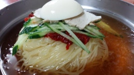 봄날에 부산밀면 - 뽐뿌:자유갤러리 봄날에 부산밀면