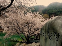 벽계야영장 후기 남겨요. 4월1일~4일 - 뽐뿌:캠핑포럼 벽계야영장 후기 남겨요. 4월1일~4일