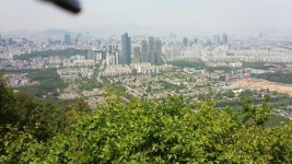 한낮의 구룡산 - 뽐뿌:등산포럼 한낮의 구룡산