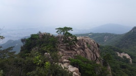 관악산 산행 - 뽐뿌:등산포럼 관악산 산행