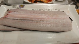 별내 장어의꿈 - 뽐뿌:자유갤러리 별내 장어의꿈
