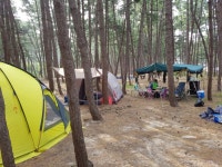 안면도 삼봉해수욕장 - 뽐뿌:캠핑포럼 안면도 삼봉해수욕장