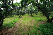 이런 곳에서 캠핑은 어떨까요? - 뽐뿌:캠핑포럼 이런 곳에서 캠핑은 어떨까요?