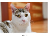 호두네입니다. - 뽐뿌:자유갤러리 호두네입니다.