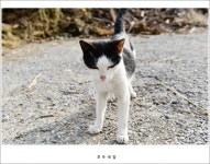 호두네입니다. - 뽐뿌:자유갤러리 호두네입니다.