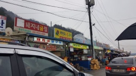뽐뿌:자유갤러리 - 주말에 첨가본 천북굴단지~ 주말에 첨가본 천북굴단지~