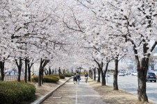 혹시 이번주 금오산 오시는 분들을 위한 약간의 참고사항 - 뽐뿌:등산포럼 혹시 이번주 금오산 오시는 분들을 위한 약간의 참고사항