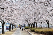혹시 이번주 금오산 오시는 분들을 위한 약간의 참고사항 - 뽐뿌:등산포럼 혹시 이번주 금오산 오시는 분들을 위한 약간의 참고사항