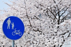 혹시 이번주 금오산 오시는 분들을 위한 약간의 참고사항 - 뽐뿌:등산포럼 혹시 이번주 금오산 오시는 분들을 위한 약간의 참고사항