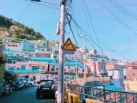 부산 감천문화마을이에요 - 뽐뿌:자유갤러리 부산 감천문화마을이에요