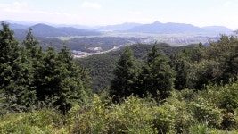 고성 갈모봉 편백나무 산림욕장 산행 사진! - 뽐뿌:등산포럼 고성 갈모봉 편백나무 산림욕장 산행 사진!