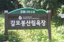 고성 갈모봉 편백나무 산림욕장 산행 사진! - 뽐뿌:등산포럼 고성 갈모봉 편백나무 산림욕장 산행 사진!