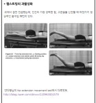 장코치 근육학. 장요근/대둔근의 길항작용과 햄스트링과활성화로 인한 둔근 complex의 기능부전 - 뽐뿌:건강/헬스 장코치 근육학. 장요근... 