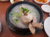 삼계탕 먹다가 - 뽐뿌:자유게시판 삼계탕 먹다가