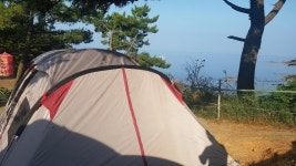 현재 태안 둘레길캠핑장입니다 ^^ - 뽐뿌:캠핑포럼 현재 태안 둘레길캠핑장입니다 ^^