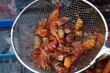 뽐뿌:자유게시판 - 닭새우 드셔보셨나여~ 닭새우 드셔보셨나여~