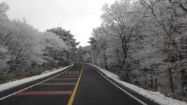 [V10]한라산 1100고지 - 뽐뿌:자유갤러리 [V10]한라산 1100고지