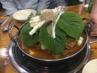 시립대 조마루 - 뽐뿌:자유갤러리 시립대 조마루