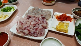진해 중앙시장 회 - 뽐뿌:모바일갤러리 진해 중앙시장 회