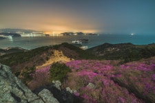 대금산 진달래 야경 - 뽐뿌:등산포럼 대금산 진달래 야경