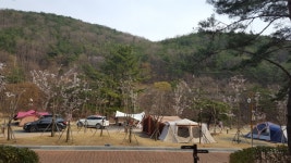 오랜만에 나와본 작천정 - 뽐뿌:캠핑포럼 오랜만에 나와본 작천정