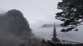 봉화 청량산 오토캠핑장 캠핑 후기 - 뽐뿌:캠핑포럼 봉화 청량산 오토캠핑장 캠핑 후기