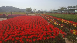 뽐뿌:생활정보 - 남지 남지