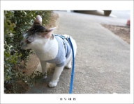 간만에 호두네 입니다. - 뽐뿌:자유갤러리 간만에 호두네 입니다.