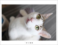 간만에 호두네 입니다. - 뽐뿌:자유갤러리 간만에 호두네 입니다.