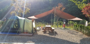 서운산 자연휴양림 다녀왔습니다 - 뽐뿌:캠핑포럼 서운산 자연휴양림 다녀왔습니다