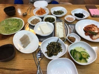 통일동산두부마을 - 뽐뿌:자유갤러리 통일동산두부마을