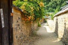 뽐뿌:자유갤러리 - 남평문씨 본리세거지 남평문씨 본리세거지