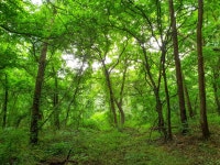 영암산(모산재) 산책 - 황계폭포 - 뽐뿌:등산포럼 영암산(모산재) 산책 - 황계폭포