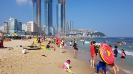 뽐뿌:자유게시판 - 해운대 해운대