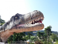 태안별빛캠핑장 후기입니다. - 뽐뿌:캠핑포럼 태안별빛캠핑장 후기입니다.