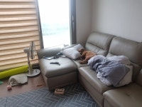 리띠 - 뽐뿌:모바일갤러리 리띠