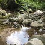 뽐뿌:자유갤러리 - 계곡 계곡