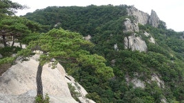 뽐뿌:등산포럼 - 기암괴석이 어우러진 능선 산행, 강원 춘천, 화천 용화산(龍華山·878.4m)