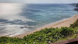 카페 - 뽐뿌:자유갤러리 카페