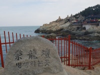 용궁사 정말 힐링되네요 - 뽐뿌:자유게시판 용궁사 정말 힐링되네요
