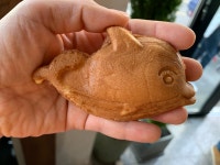 고래빵~~ - 뽐뿌:자유갤러리 고래빵~~